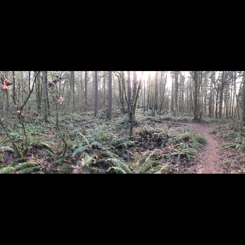 Meet your Posher, Brea